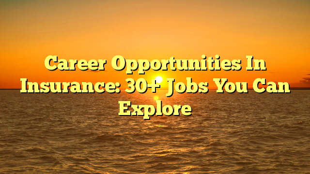 Career Opportunities In Insurance: 30+ Jobs You Can Explore